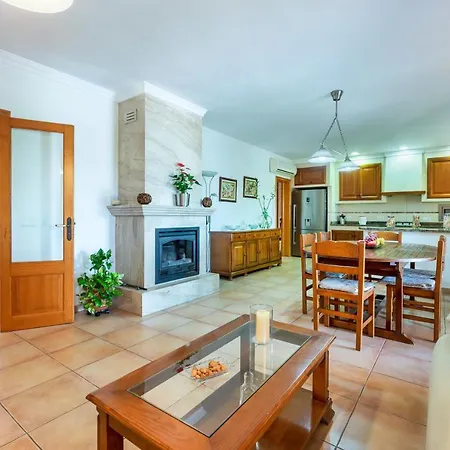 Mirlo Villa Marratxi