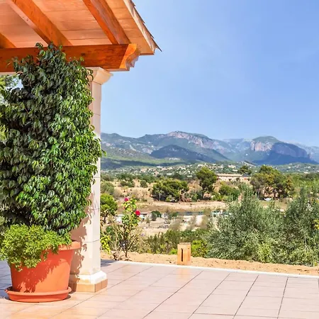 Mirlo Villa Marratxi