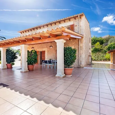 Mirlo Villa Marratxi