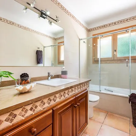 Mirlo Villa Marratxí